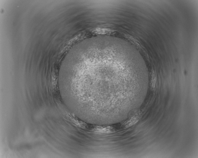 X0000053010569200507291711