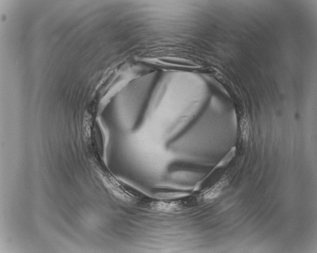 X0000053010570200507291711