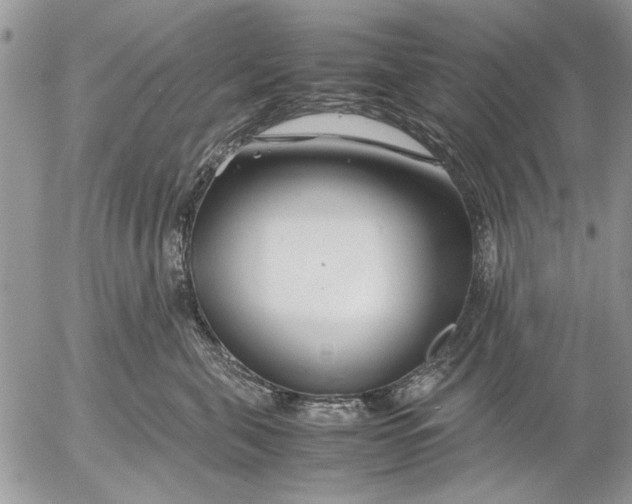 X0000053010571200507291711