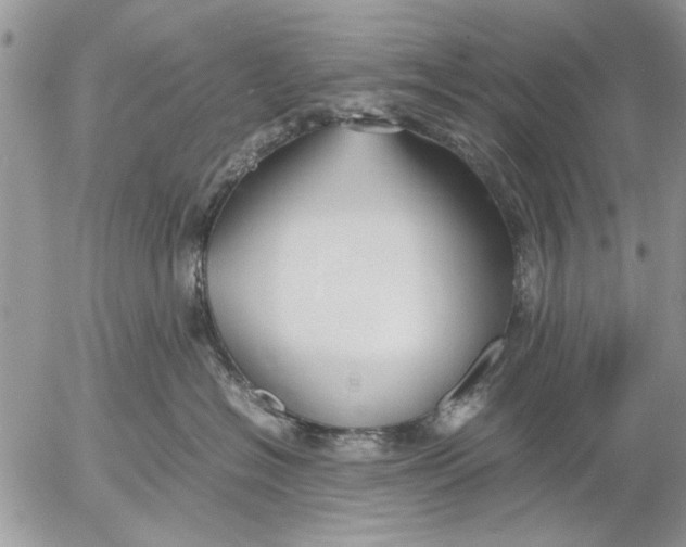 X0000053010574200507291711