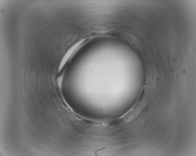 X0000053010576200507291711