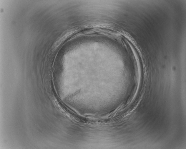 X0000053010577200507291710