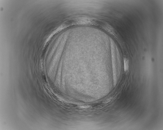 X0000053010579200507291710