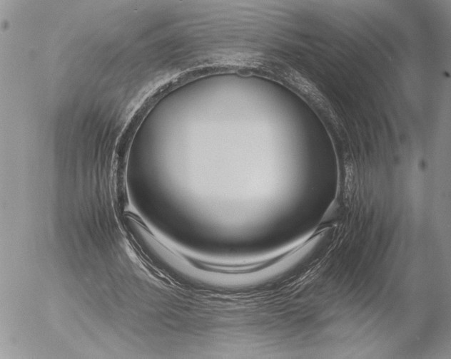 X0000053010580200507291710