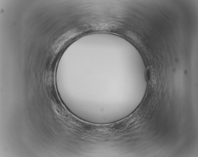 X0000053010583200507291710