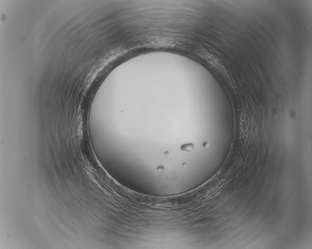 X0000053010584200507291710