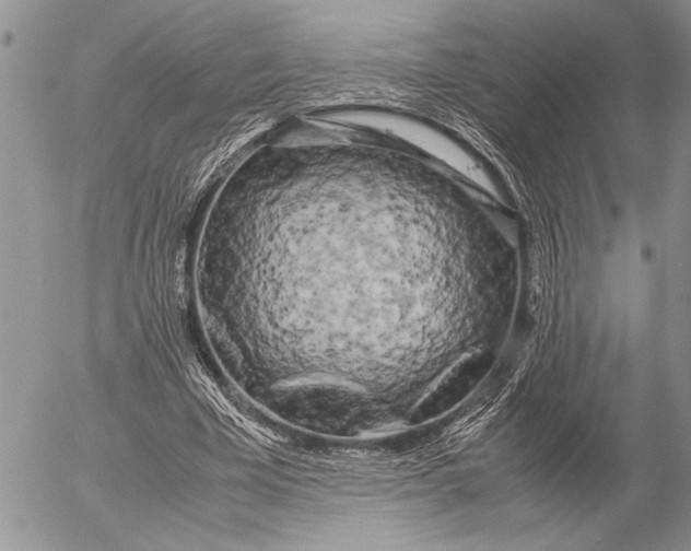 X0000053010585200507291710