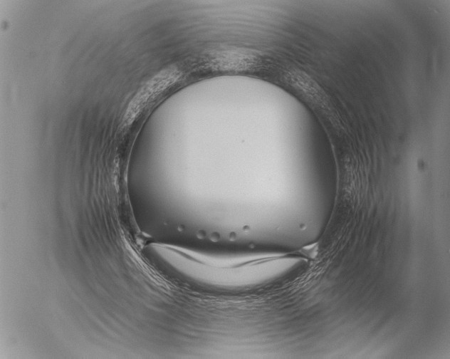 X0000053010586200507291710