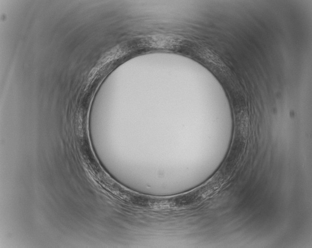 X0000053010587200507291710