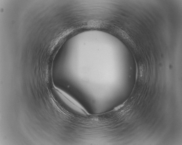 X0000053010588200507291710