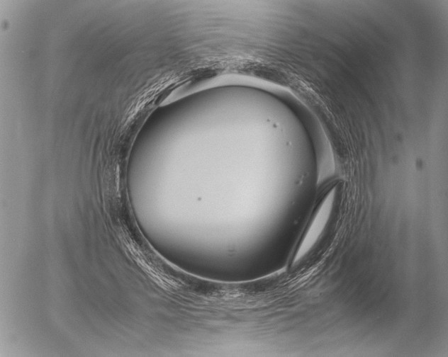 X0000053010589200507291710