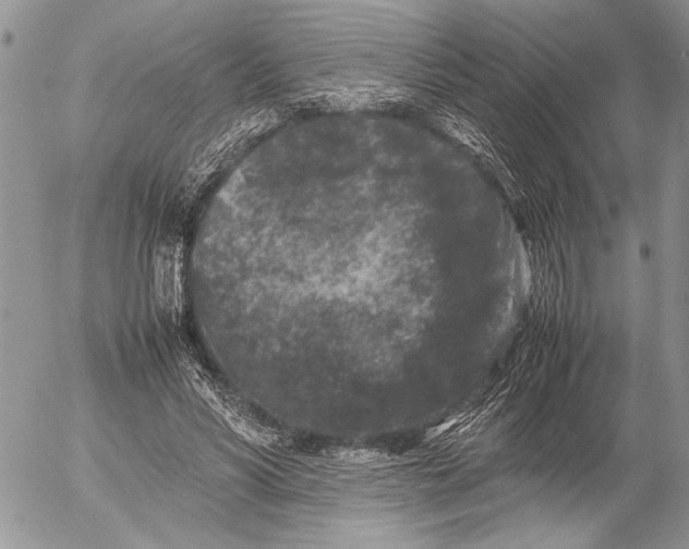 X0000053010590200507291710