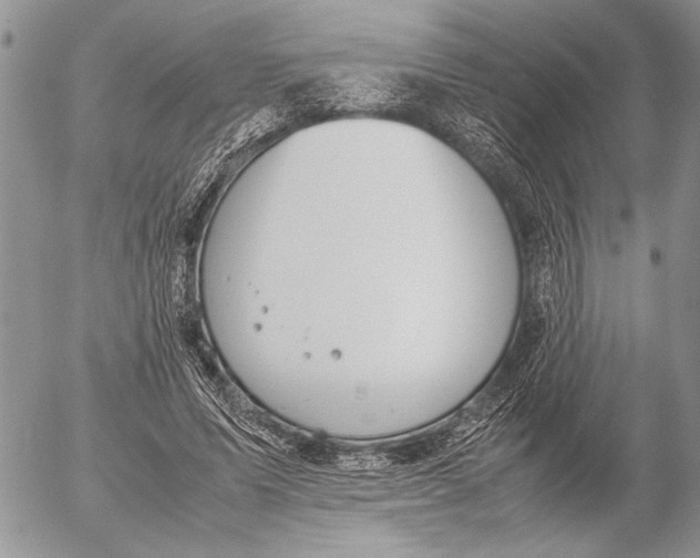 X0000053010591200507291710