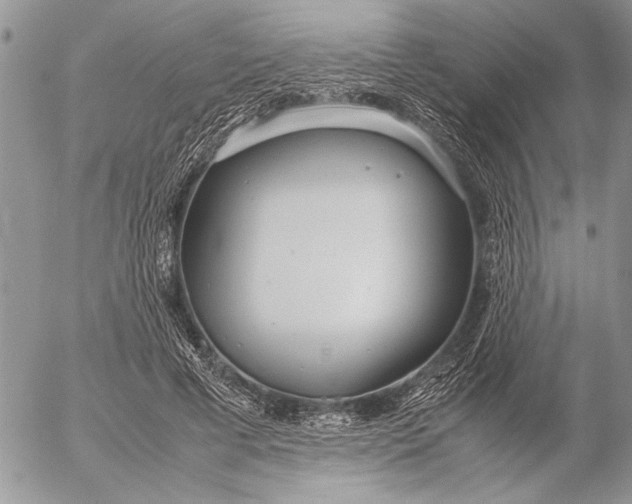 X0000053010593200507291710