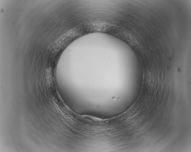 X0000053010594200507291710