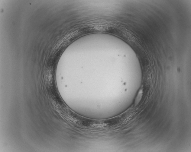 X0000053010595200507291710