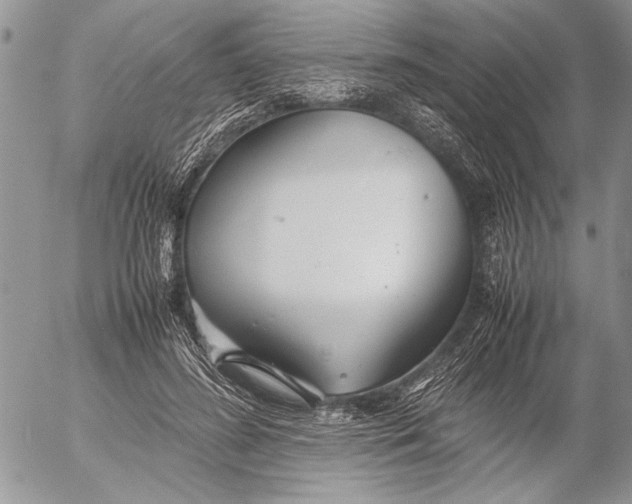 X0000053010596200507291710