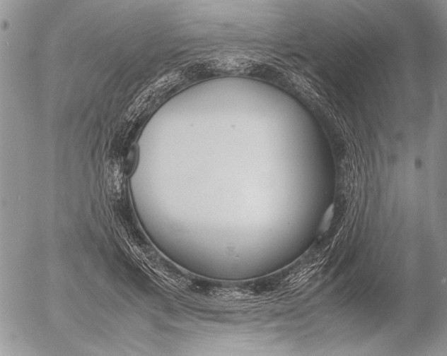 X0000053010597200507291710