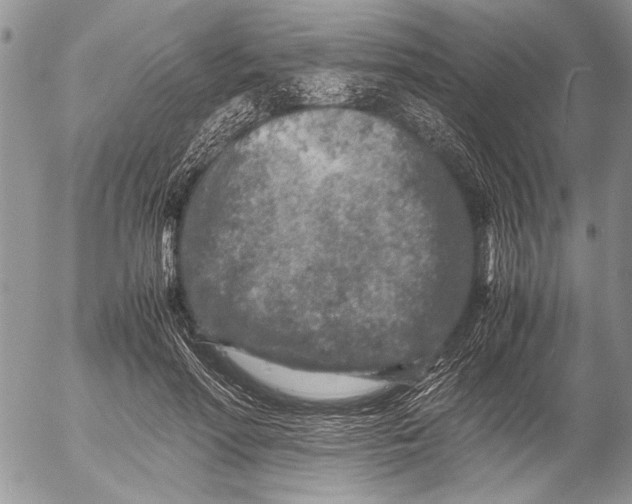 X0000053010598200507291710