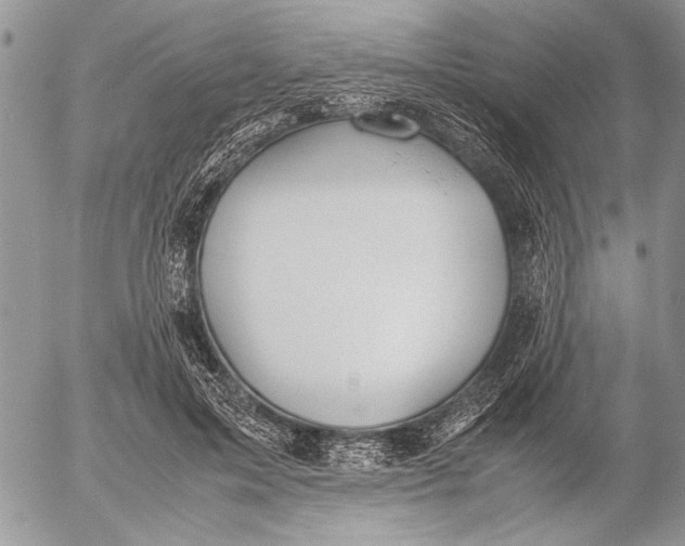 X0000053010599200507291710