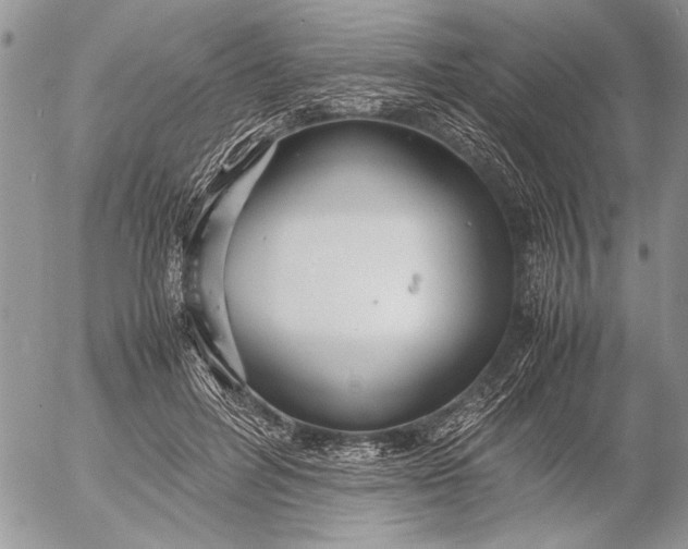 X0000053010600200507291710