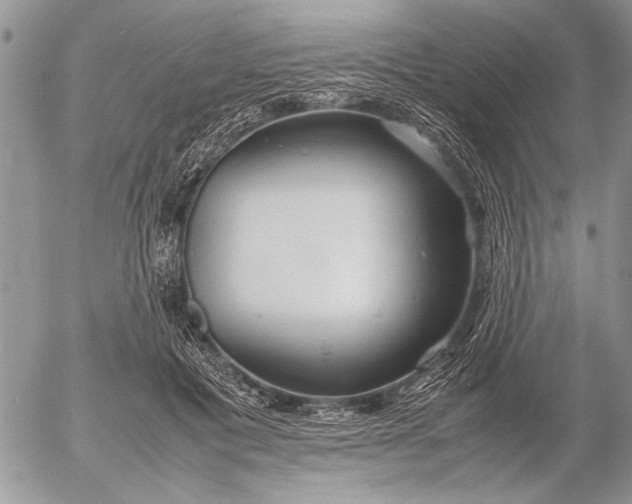 X0000053010601200507291710