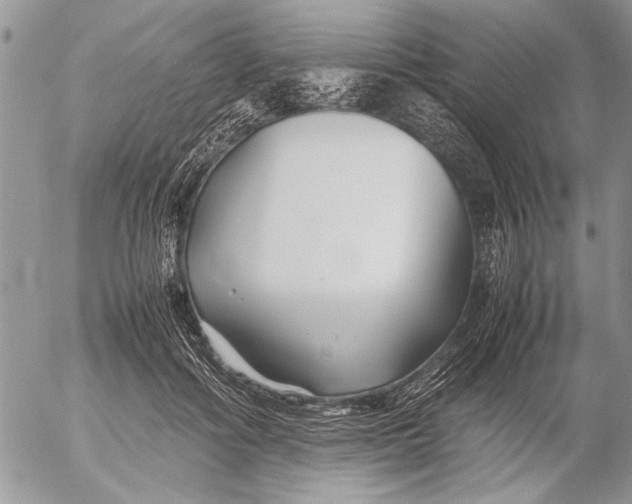 X0000053010602200507291710