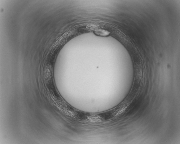 X0000053010603200507291710