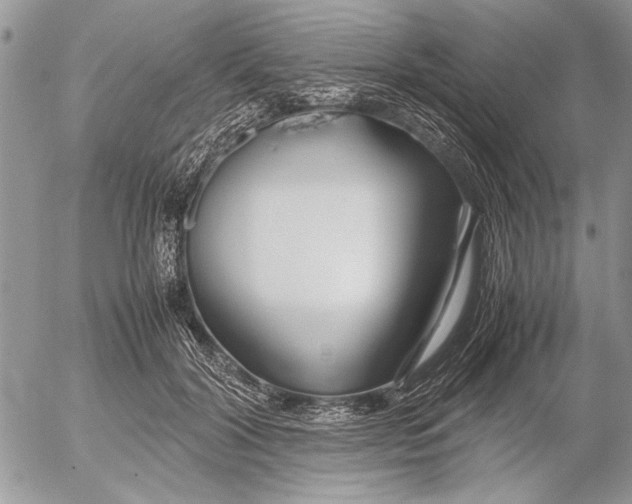 X0000053010604200507291709