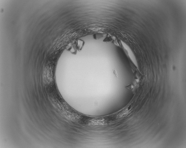 X0000053010606200507291709