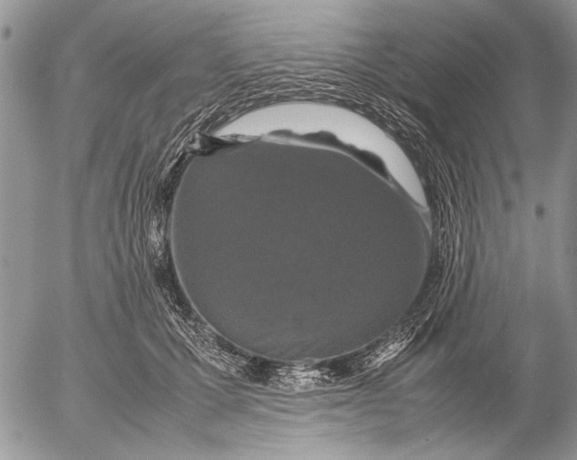 X0000053010607200507291709