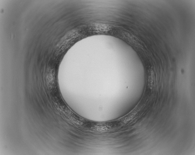 X0000053010608200507291709