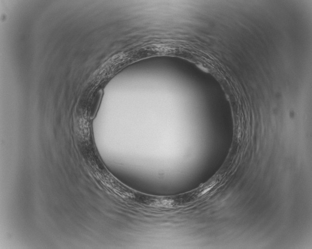 X0000053010609200507291709