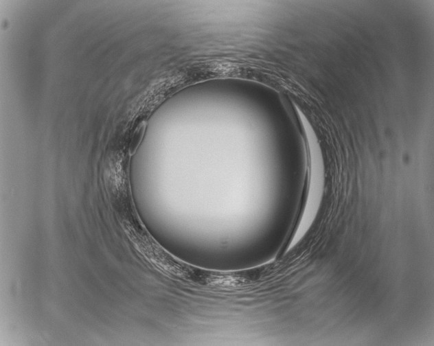 X0000053010611200507291709