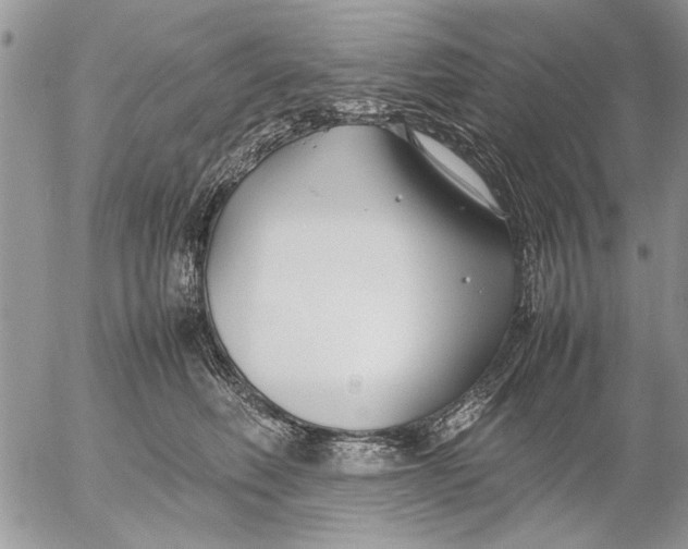 X0000053010614200507291709