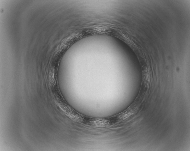 X0000053010615200507291709