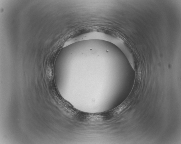 X0000053010617200507291709