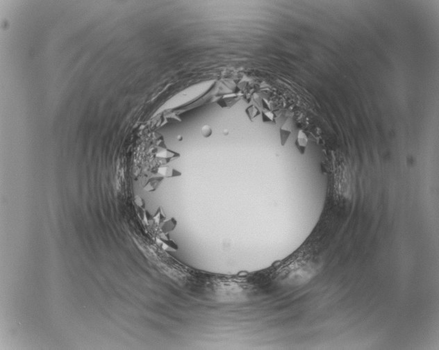 X0000053010618200507291709