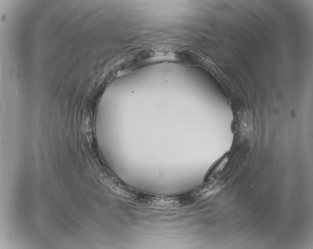 X0000053010619200507291709