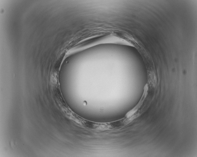 X0000053010621200507291709