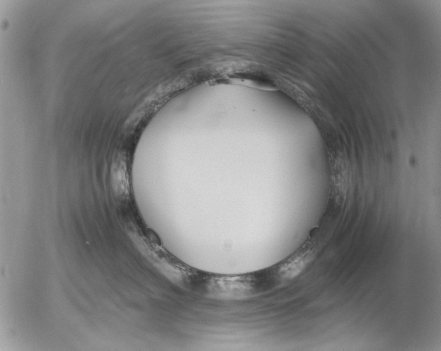 X0000053010622200507291709