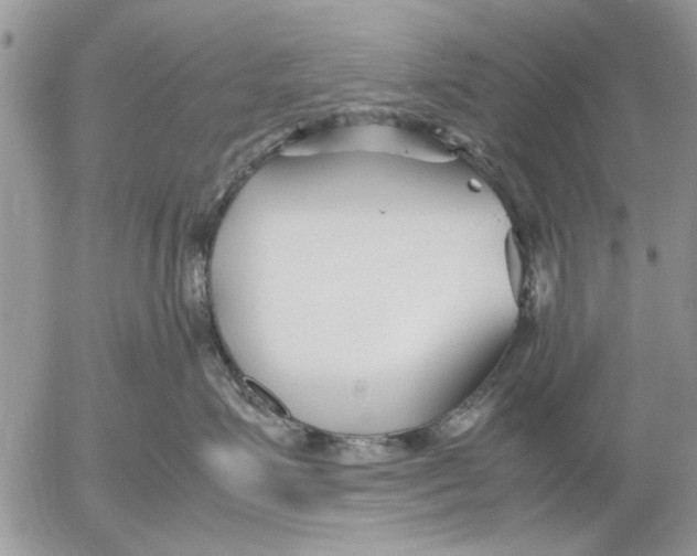 X0000053010623200507291709