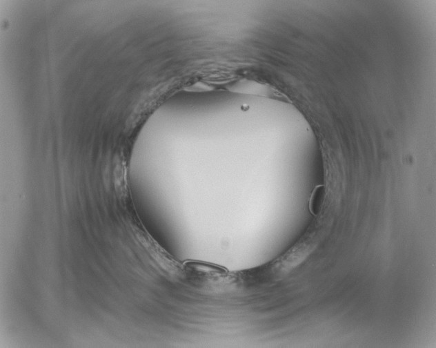 X0000053010624200507291709