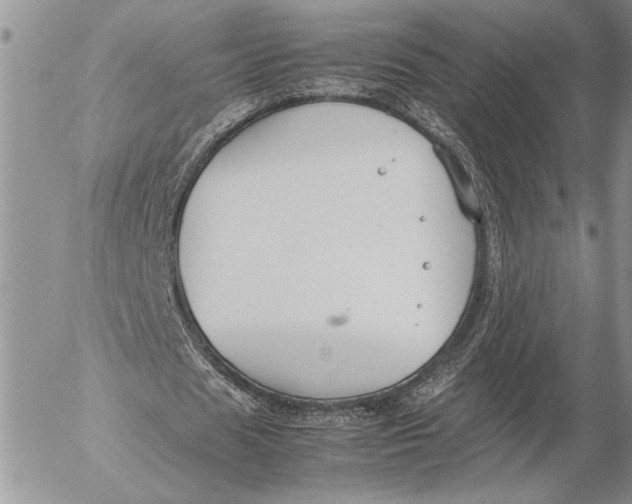 X0000053010625200507291708