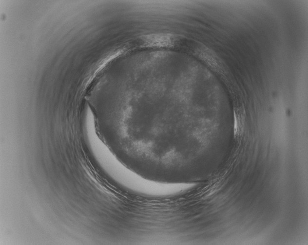 X0000053010627200507291708