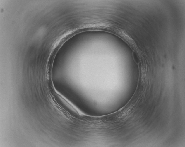 X0000053010628200507291708