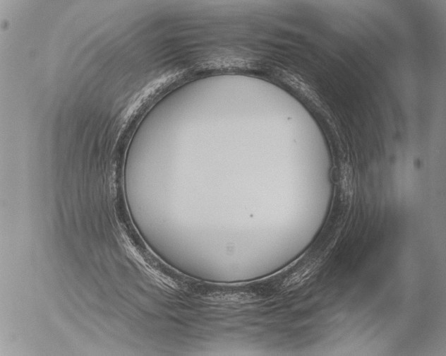 X0000053010629200507291708