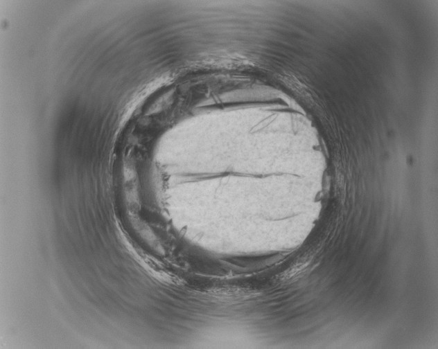 X0000053010630200507291708