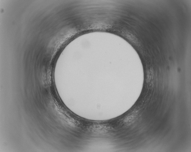 X0000053010632200507291708