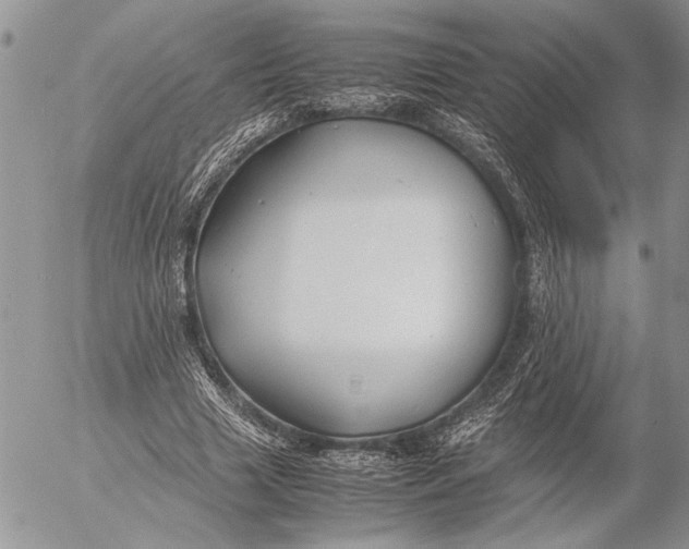 X0000053010633200507291708